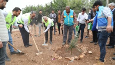 Eyyübiye'de ağaçlandırma seferberliği