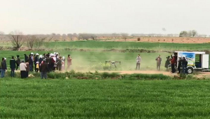 Urfa'da tarlalar drone ile ilaçlandı