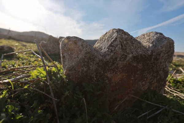 Şanlıurfa'da kayı alplerine ait mezarlar bulundu