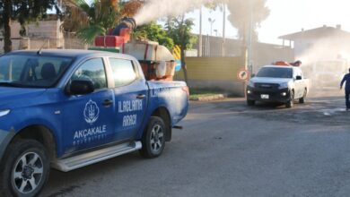Akçakale'de belediye ekipleri lavra ilaçlama çalışması yaptı