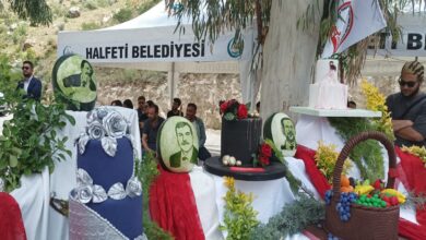 Halfeti'de meyve yemekleri festivali düzenleniyor