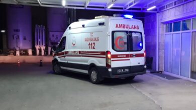 Şanlıurfa'daki kavgada 3 bebek yaralandı