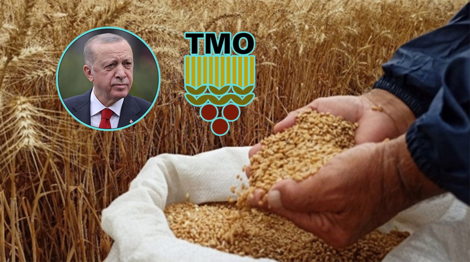 Erdoğan buğday ve arpa fiyatlarını açıkladı