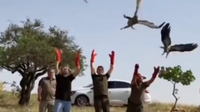 Urfa'da vatandaşlardan duyarlı davranış