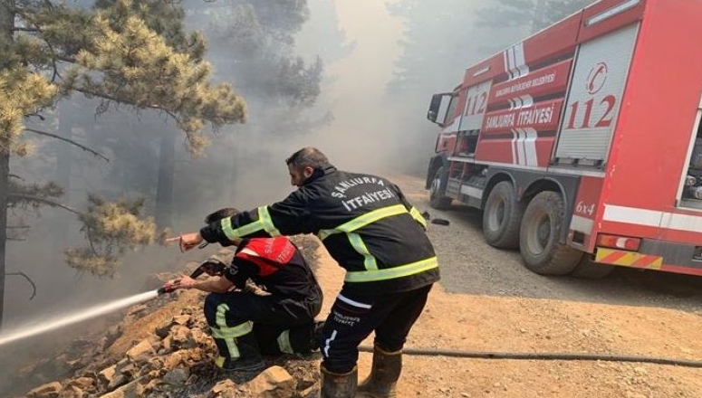 Eyyübiye'de ormanlık alana yangın