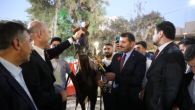 Bakan Soylu'ya Suruç'ta yarış atı hediye edildi