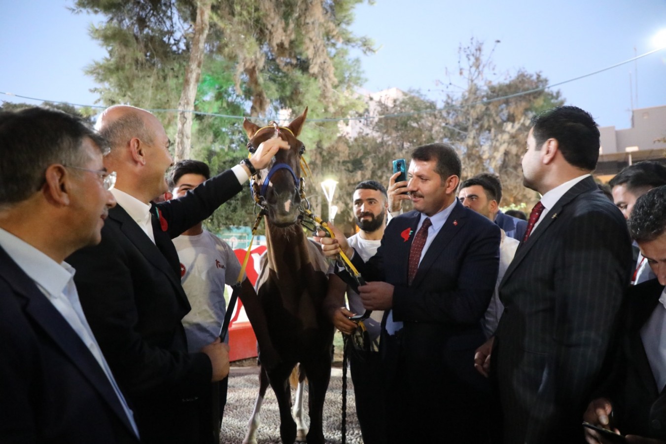 Bakan Soylu'ya Suruç'ta yarış atı hediye edildi
