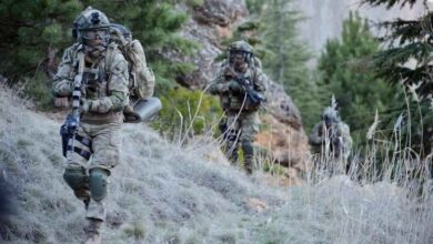 Urfa sınırında 7 terörist etkisiz hale getirildi