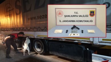 Urfa'da jandarmadan iki ilçede '' Şok Yol Arama '' uygulaması