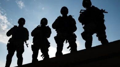 Urfa sınırında 5 terörist etkisiz hale getirildi