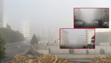 Urfa'da sabah saatlerinde yoğun sis etkili oldu