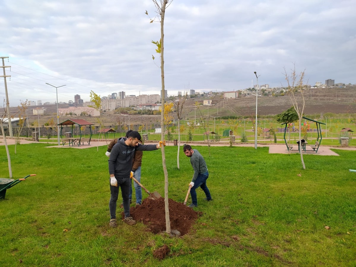 Siverek'te park ve bahçelere yeni ağaçlar dikildi