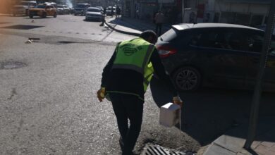 Viranşehir Belediyesi ilçede larva ilaçlama çalışması yaptı