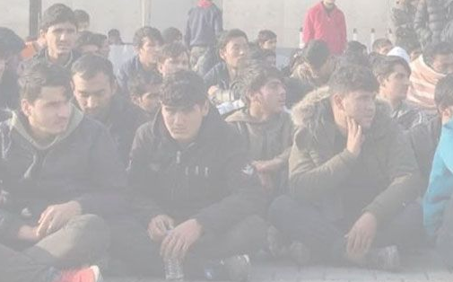 Urfa'da 30 düzensiz göçmen yakalandı