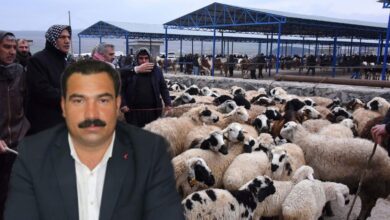 Urfa'da canlı hayvan pazarı ikinci Emre Kadar kapatıldı