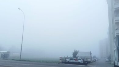 Urfa'da sabah saatlerinde sis etkili oldu