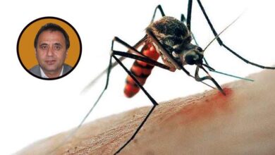 Uzmanından sivrisinek uyarısı: Hastalığa neden olabilir