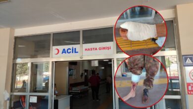 Urfa'da acemi kasaplar hastanelik oldu