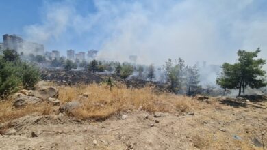 Urfa'da orman yangını olayına karışan şahıs tutuklandı