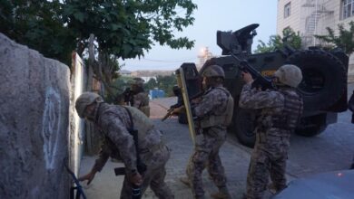 Urfa'da terör örgütlerine yönelik operasyon