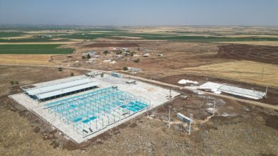 Büyükşehir'den Viranşehir'e modern mezbaha