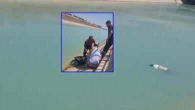 Urfa'da sulama kanalında kadın cesedi bulundu