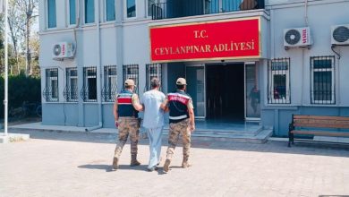 Urfa'daki köpek tecavüzcüsü tutuklandı