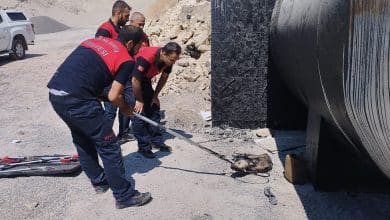 Eyyübiye'de zifte batan yavru köpeği itfaiye ekipleri kurtardı