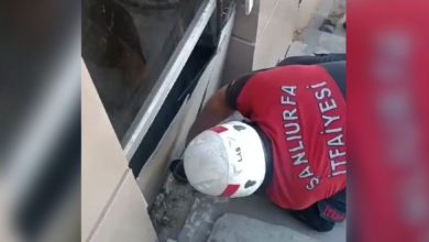 Eyyübiye'deki bir hastanede kolon ile duvar arasına sıkışan küçük köpek, itfaiye ekipleri tarafından kurtarıldı.