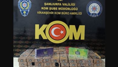Viranşehir'de emniyet güçlerinin düzenlediği operasyonda 900 paket kaçak sigara ve 13 cep telefonu ele geçirildi. İki şüpheli kişi gözaltına alındı.