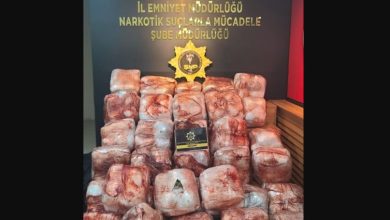 Şanlıurfa'da narkotik ekiplerinin dün gece düzenlediği iki ayrı operasyonda 223 kilo 250 gram sentetik uyuşturucu (skunk) ele geçirildi. Ayrıca 4 şüpheli gözaltına alındı.