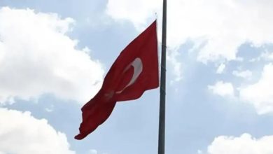 Cumhurbaşkanı Erdoğan, kabine toplantısının ardından yaptığı açıklamada, Bolu'daki yangında yaşamını yitirenler nedeniyle 1 günlük milli yas ilan edildiğini duyurdu.