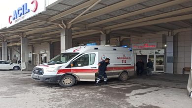 Suruç'ta at arabası ile otomobilin çarpıştığı kazada 2 kişi yaralandı.