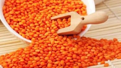 Verimli topraklarda hummalı mesai: Şanlıurfa yine üretim lideri