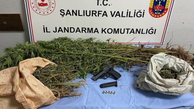 İl Jandarma Komutanlığı ekipleri, 6 ilçede düzenlenen operasyonda uyuşturucu madde ve silah ele geçirirken 8 şüpheliyi gözaltına aldı.