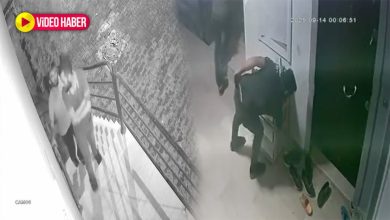 Eyyübiye’de bir binadan ayakkabı çalan 2 kişinin rahat tavırları güvenlik kameralarına yansıdı.