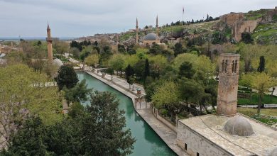 Sonbaharın ikinci yarısında görülen ve halk arasında “pastırma sıcakları” olarak bilinen dönem, yarından itibaren Şanlıurfa’da etkisini gösterecek. Hava sıcaklıklarının 35 dereceye kadar çıkması bekleniyor.