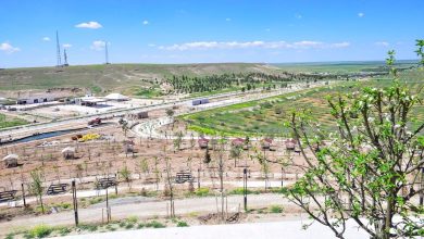 2022’de ihalesi yapılan, 2024’te bitirilmesi planlanan Ceylanpınar Millet Bahçesi aradan geçen sürelere rağmen hâlâ hizmete girmedi. Vatandaşlar, projenin bir an önce tamamlanmasını bekliyor.