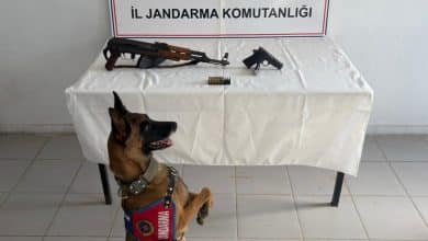 Şanlıurfa İl Jandarma Komutanlığı ekipleri, Birecik’te düzenledikleri operasyonda silah ve mühimmat ele geçirdi.