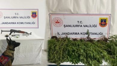 Halfeti, Siverek, Birecik ve Akçakale’de düzenlenen jandarma operasyonlarında çok sayıda uyuşturucu madde, silah ve mühimmat ele geçirildi.