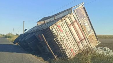 Şanlıurfa’nın Harran ilçesine bağlı kırsal Çepkenli Mahallesinde meydana gelen kazada, pamuk yüklü bir kamyon şarampole devrildi.