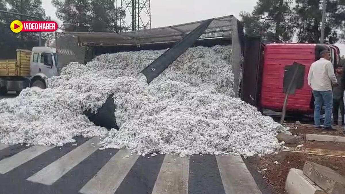 Şanlıurfa’nın Viranşehir ilçesinde yağış nedeniyle kayganlaşan yolda sürücüsünün kontrolünden çıkan pamuk yüklü kamyon devrildi. Kazada yaralanan olmazken, tonlarca pamuk yola saçıldı.