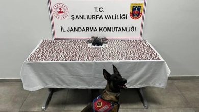 Haliliye’de gerçekleştirilen narkotik operasyonunda 2 bin 772 sentetik ecza hap ile ruhsatsız tabanca ele geçirildi. Operasyonda 2 şüpheli gözaltına alındı.
