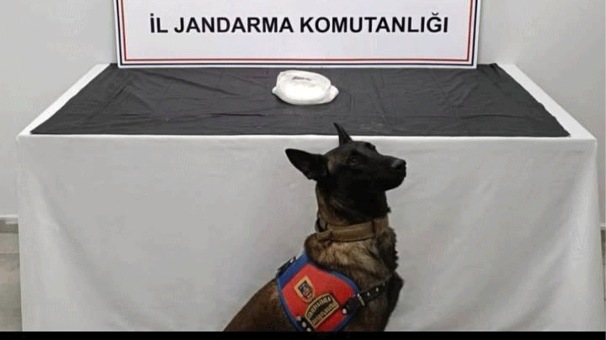 Haliliye’de düzenlenen operasyonda 500 gram metamfetamin ele geçirildi, 2 şüpheli gözaltına alındı.