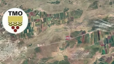 Viranşehir’in il olma tartışmaları sürerken Siverek cephesinden güçlü bir çıkış geldi. Siverekli temsilciler, ilçenin 1926’da kaybettiği il statüsünün iadesini “tarihsel bir hak” olarak görüyor.