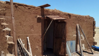 Bozova’da arazi anlaşmazlığı sırasında çıkan tartışmada başından vurularak hayatını kaybeden 13 yaşındaki Mehmet Bulut’un ölümüne ilişkin gözaltına alınan ağabey Ayhan Bulut cezaevine gönderildi.