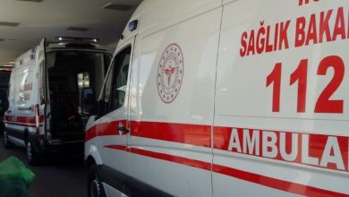 Eyyübiye ilçesinde yolun karşısına geçmeye çalışan bir yaya, plakası belirlenemeyen otomobilin çarpması sonucu hastaneye kaldırıldı.