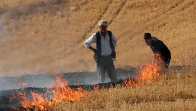 Şanlıurfa Valiliği, tarımsal üretim döneminde yaşanan anız yangınlarını önlemek ve hasat sırasında uyulması gereken kuralları belirlemek amacıyla genel emir yayımladı.