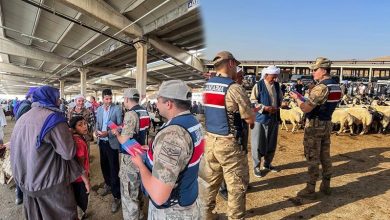 Şanlıurfa İl Jandarma Komutanlığı, yaklaşan bayram öncesi halkın güvenli ve sorunsuz alışveriş yapabilmesi için hayvan pazarlarındaki denetimlerini artırdı.