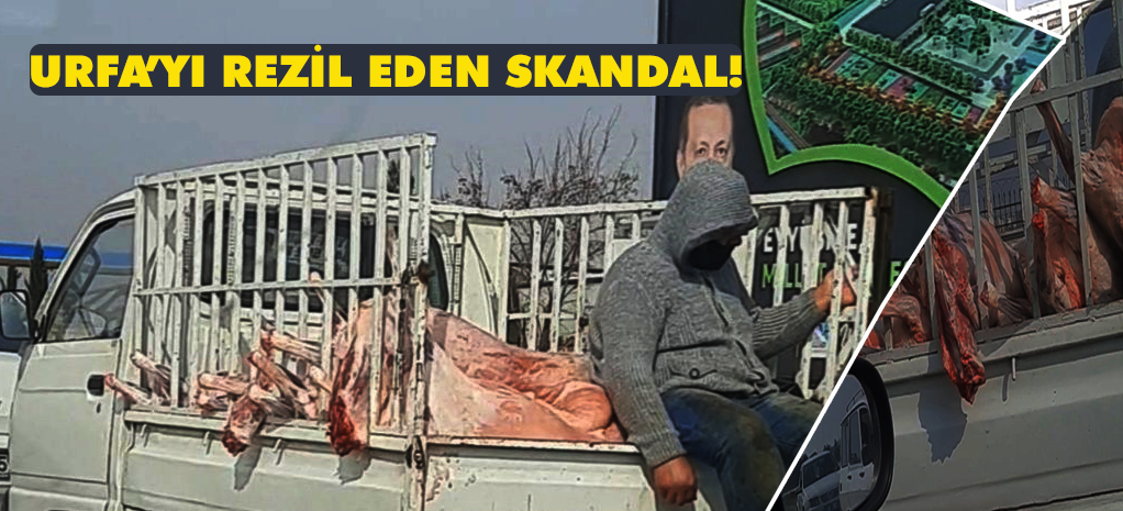 Şanlıurfa'da skandal